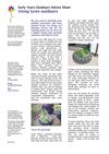 Using Tires Outdoors: Early Years Outdoors Learning 