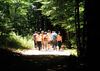 randonnée forêt des loges