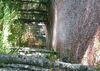 chemins forêt des loges