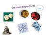 Wordarte e imagenes prediseñadas