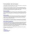 The Leimo Realities - Hair Care Treatment