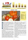 Juvigny Infos n°20