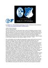 FC Schalke 04 vs 1899 Hoffenheim Bundesliga 29.10.2011 SelMckenzie Selzer-McKenzie