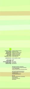 programma cunta 4 copia