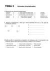 TEMA 3 CONO