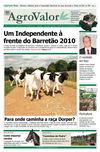 edicao-55