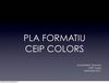 Pla Formatiu CEIP Colors