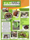 IMBio - Instituto de Manejo da Biodiversidade - Educação Ambiental