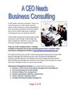 A CEO Needs A Business Consultant