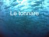 Le Tonnare