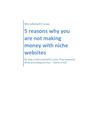 [Top Tips] 5 reasons why you are not making money with niche websites