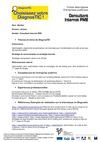 Fiche DiagnosTIC - Consultant Internet PME