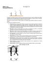 Conceptos básicos y manejo de la pelota - voleibol