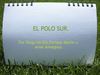 ECOSISTEMA: POLO SUR