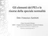 PEI e speciale normalità (Zambotti)