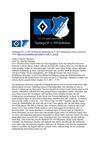 Hamburger SV vs 1899 Hoffenheim Bundesliga 20.11.2011 SelMcKenzie Selzer-Mckenzie