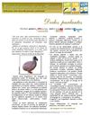 54-DODOS PARLANTES. mayo 2011