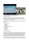 Pinguine Pinguin Wildlife Antarctica Animals Tiere SelMcKenzie Selzer-McKenzie