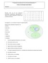 Nivelación de 10 tercer período