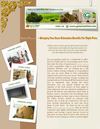 Dallas Movers – Bringing You Sheer Relocation Benefits For Right Price