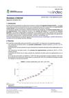 Informe Internet