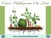 Presentación CURSO ON LINE