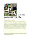ANIMALES EN PELIGROS DE EXTINCION