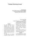 Celdas Electroquímicas[final]