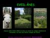 Présentation d'Eveil-ânes