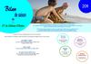 Bilan de saison 2011 - Office de Tourisme du Château d'Olonne