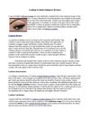 Lashem Eyelash Enhancer