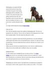 Horse Betting Handicapping Tips