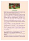 El juego heurístico