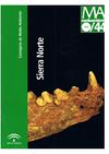 Cueva de la Sima II.
