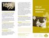 The Lay Chaplaincy Program