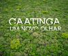 CAATINGA um novo olhar