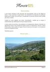 Mones 825