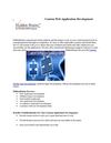 Custom Web Application Development