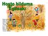 HOSTO BILDUMA 6B2