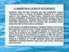 GARDENIA GLROY 9212455655
