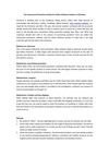 The Commonest Promotion Activities for Online Software Vendors in Christmas