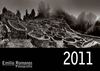 Ebook 2011