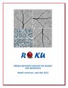 RO KU ANIVERSAR ANUL NOU 2012