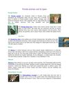 Florida Animals and its types