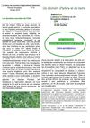 Feuille 14 ITAN - 2010-1
