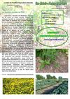 Feuille 17 ITAN - 2010-4