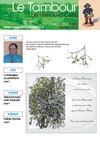 tambour248_janvier2012