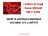 Umbilical Cord Banks Blood Stem Cells