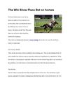 The_Win_Show_Place_Bet_on_horses