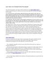 Zygor Guides review-Wonderful World of Warcraft guide